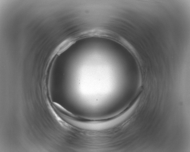 X0000081621434200701291441