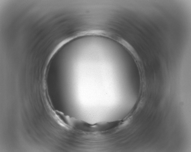X0000081621436200701291441