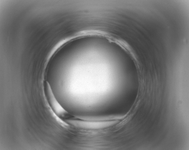 X0000081621438200701291441