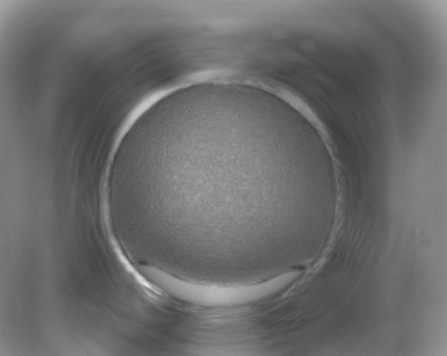 X0000081621440200701291441