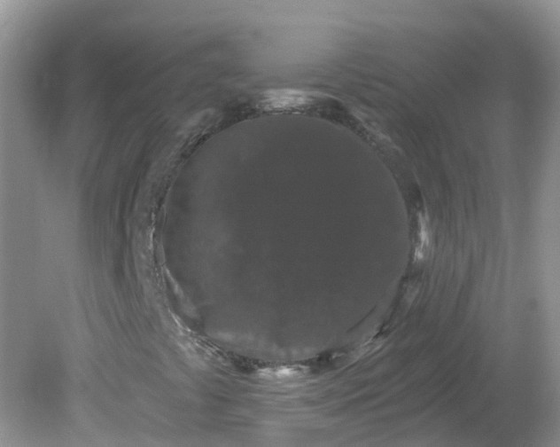 X0000081621441200701291441