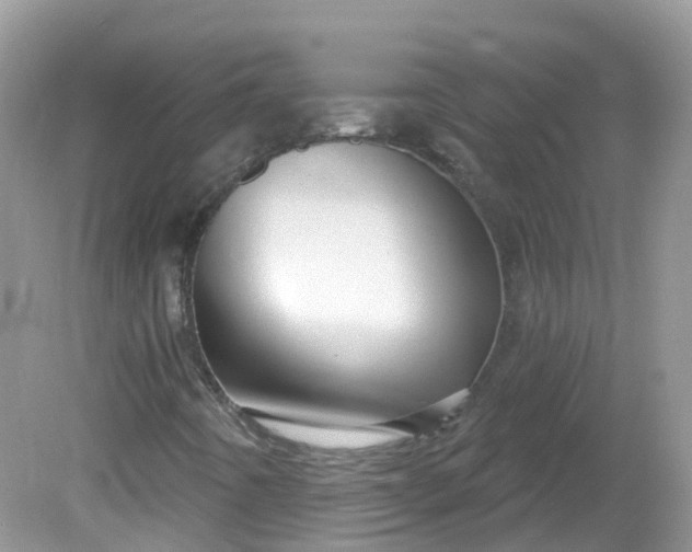 X0000081621442200701291441