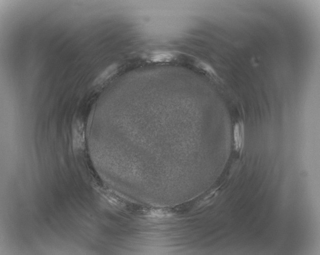 X0000081621443200701291441