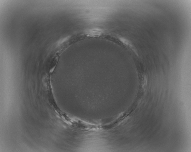 X0000081621445200701291441