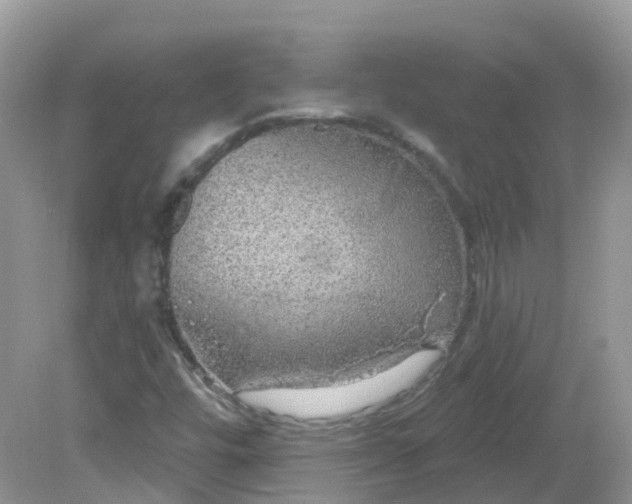X0000081621448200701291440