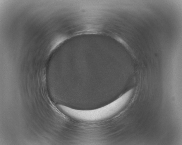 X0000081621450200701291440