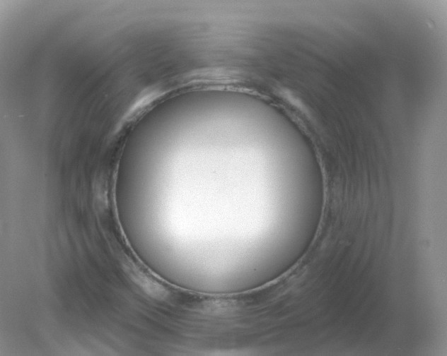 X0000081621451200701291440