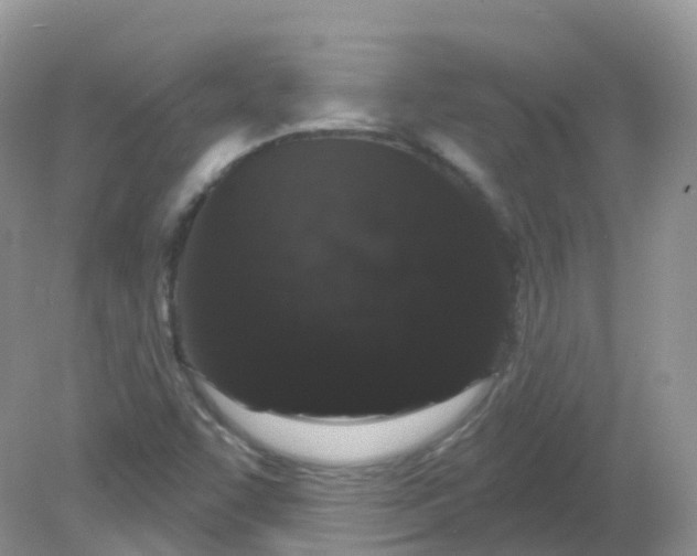 X0000081621455200701291440