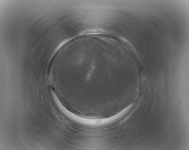 X0000081621457200701291440