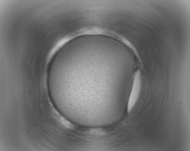 X0000081621464200701291440
