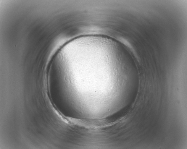 X0000081621472200701291440