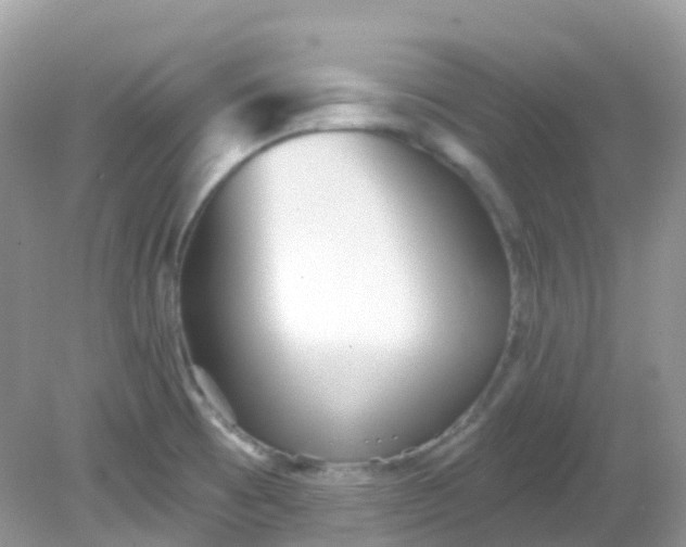 X0000081621473200701291440