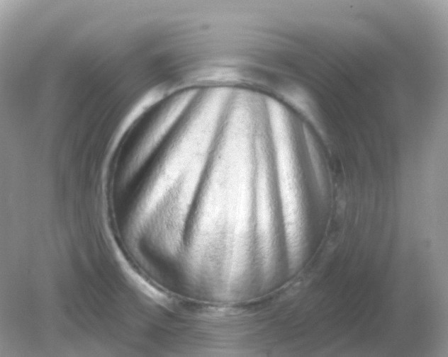 X0000081621475200701291440