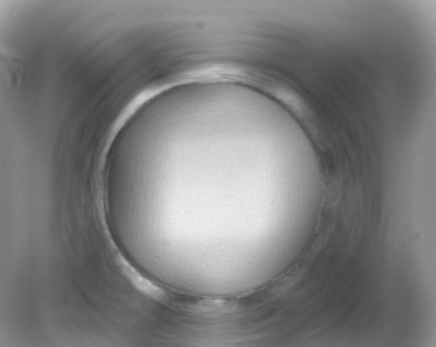 X0000081621478200701291440