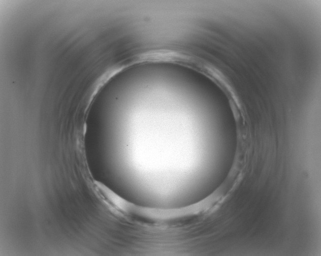 X0000081621481200701291440