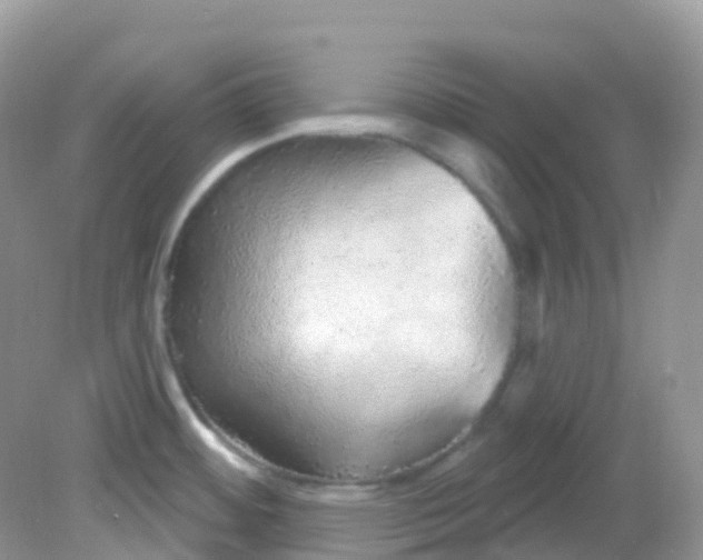 X0000081621484200701291440