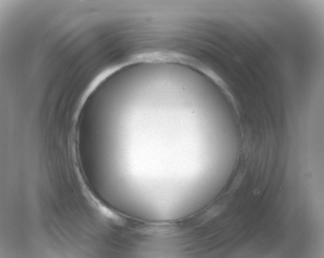 X0000081621486200701291440