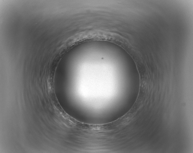 X0000081621490200701291439