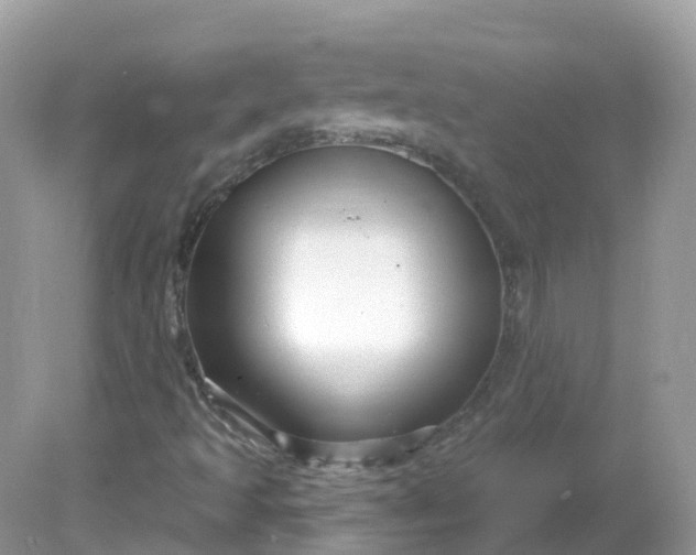 X0000081621493200701291439