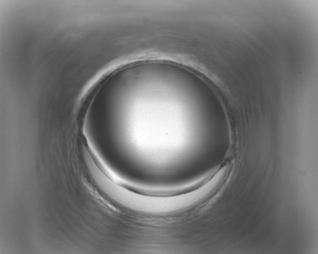 X0000081621502200701291439