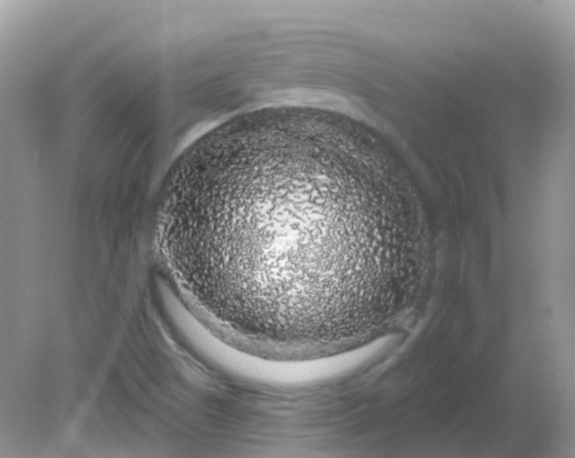 X0000081621505200701291439