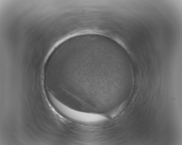 X0000081621508200701291439