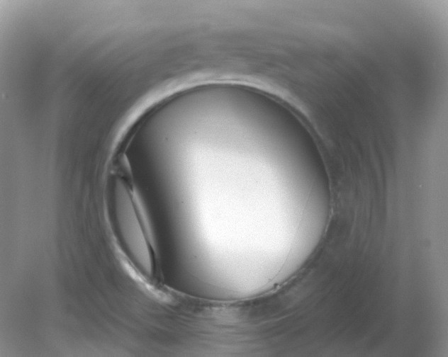 X0000081621511200701291439