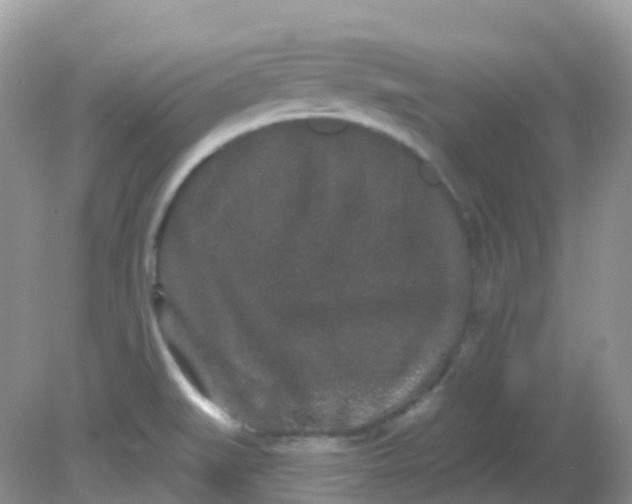 X0000081621519200701291440