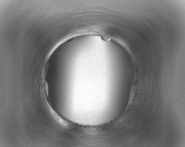 X0000081621524200701291440
