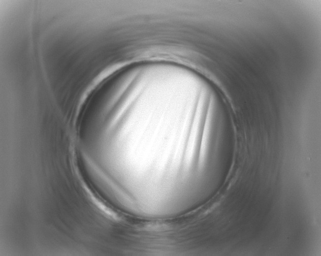 X0000081621525200701291440