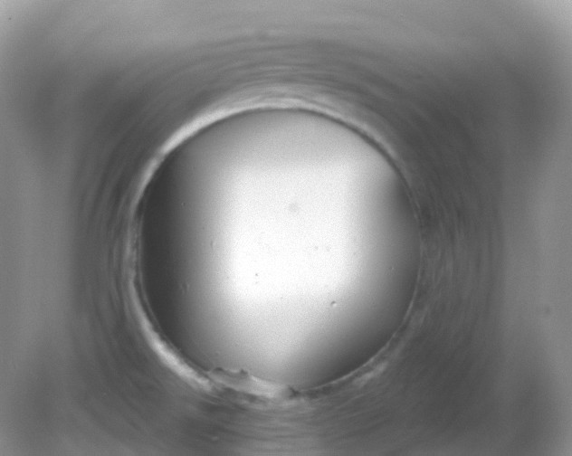 X0000081621526200701291440