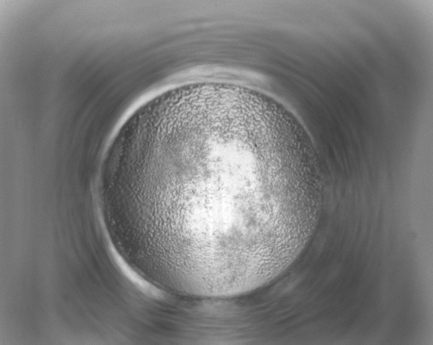 X0000081621531200701291440