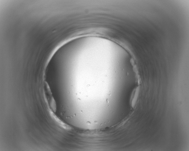 X0000081621532200701291440