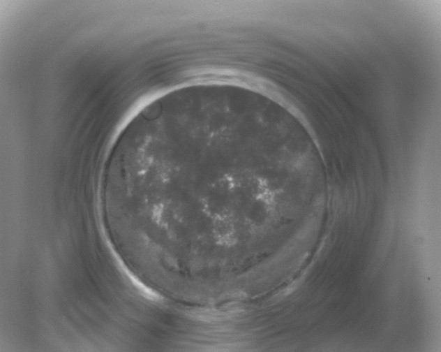 X0000081621533200701291440