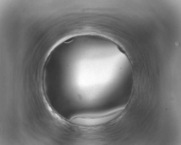 X0000081621534200701291440