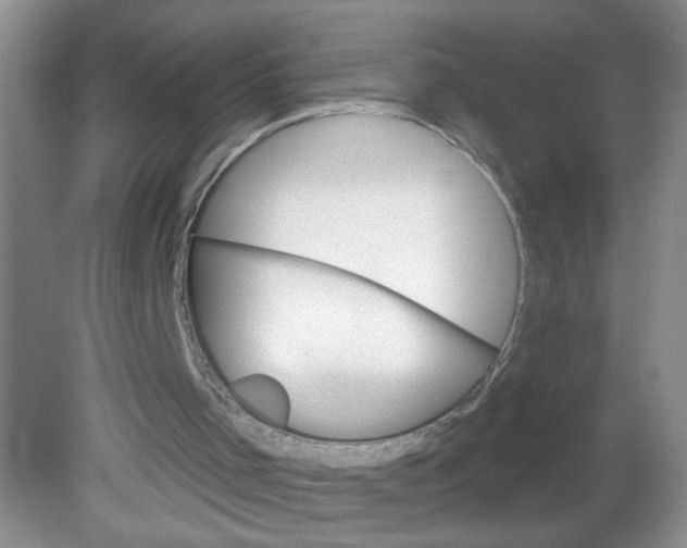 X0000081620001200702051245