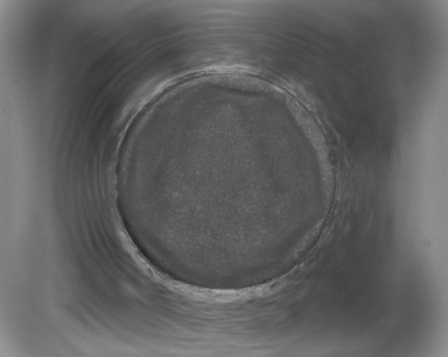 X0000081620002200702051245