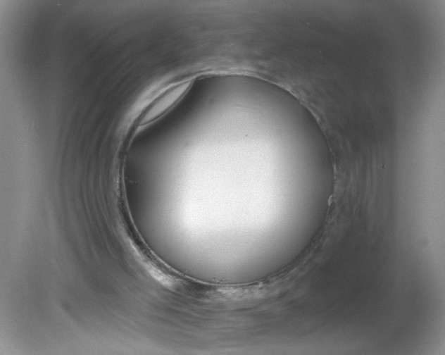 X0000081620005200702051245