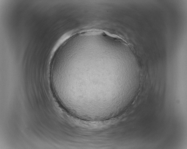 X0000081620006200702051245