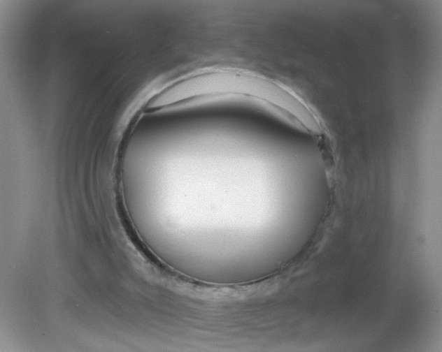 X0000081620007200702051245
