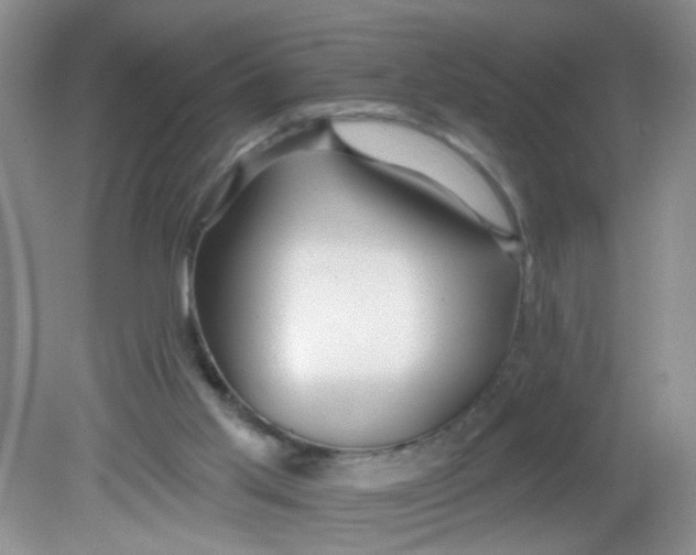 X0000081620013200702051244