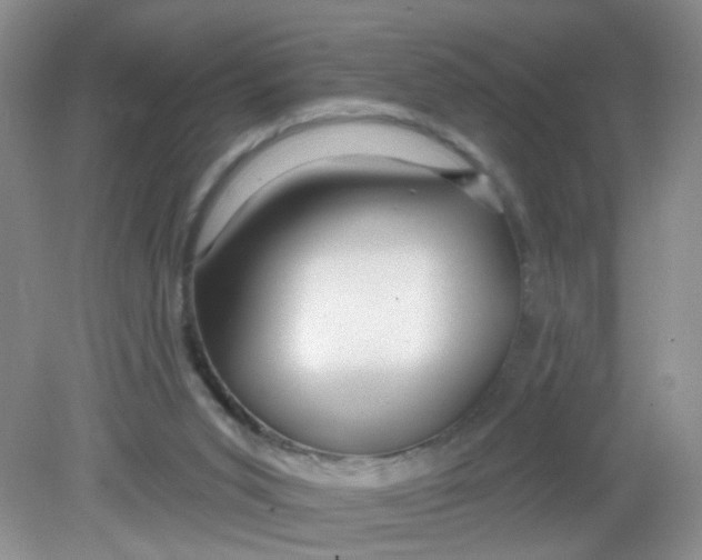 X0000081620015200702051244