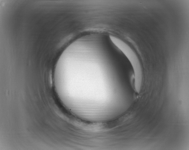 X0000081620020200702051244