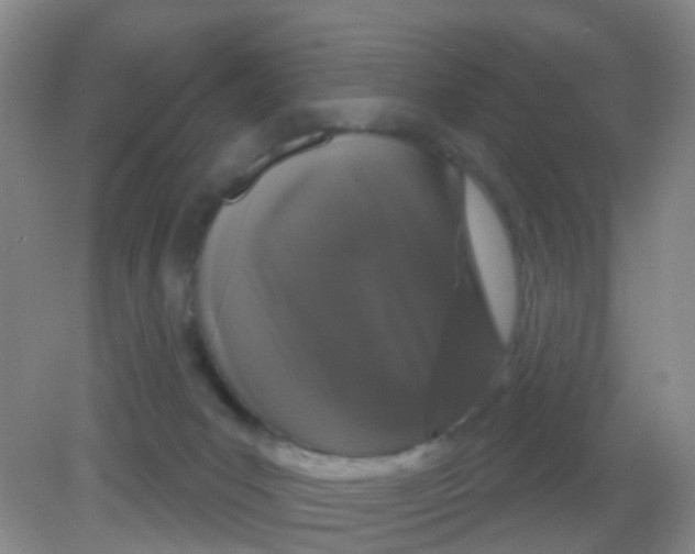 X0000081620031200702051244