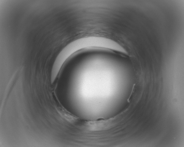 X0000081620033200702051244