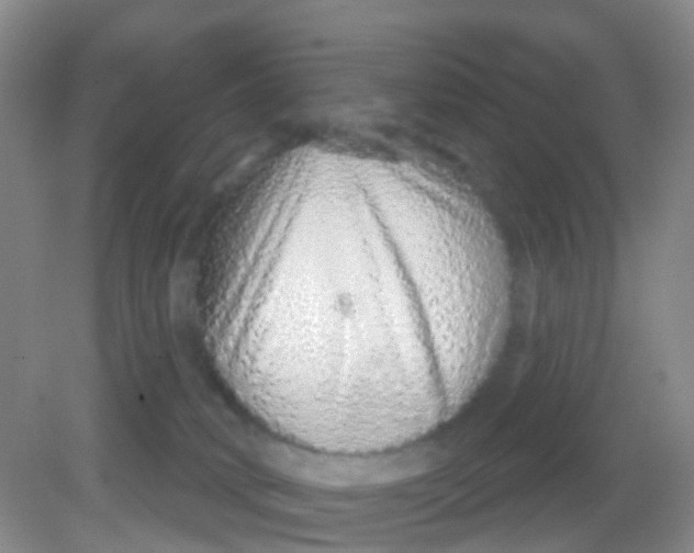 X0000081620034200702051244