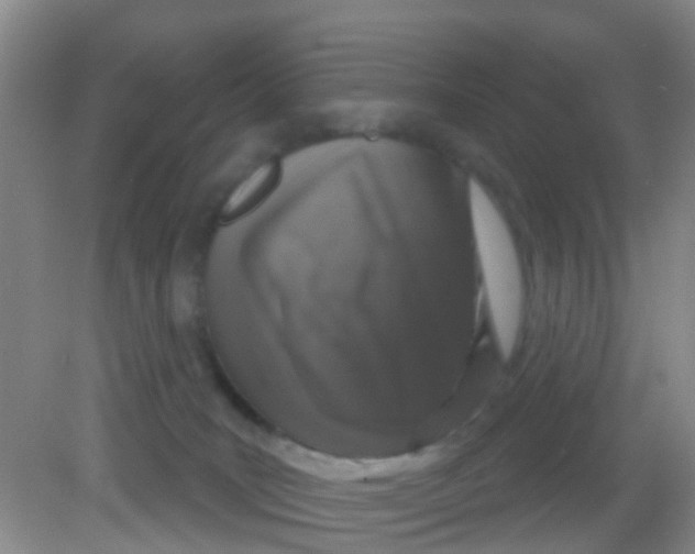 X0000081620035200702051244
