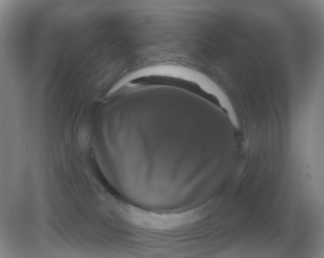 X0000081620039200702051244
