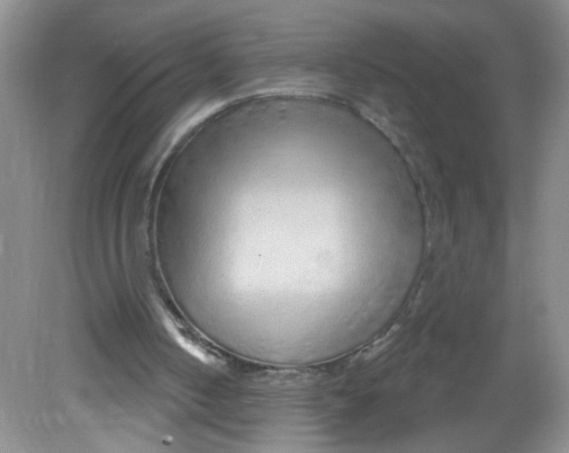 X0000081620050200702051243