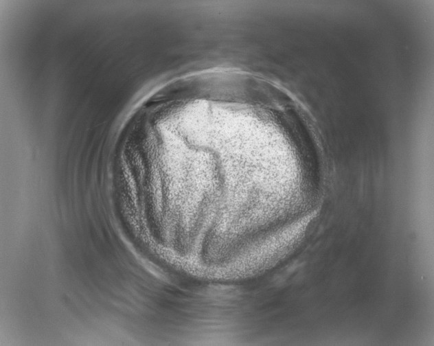 X0000081620055200702051243